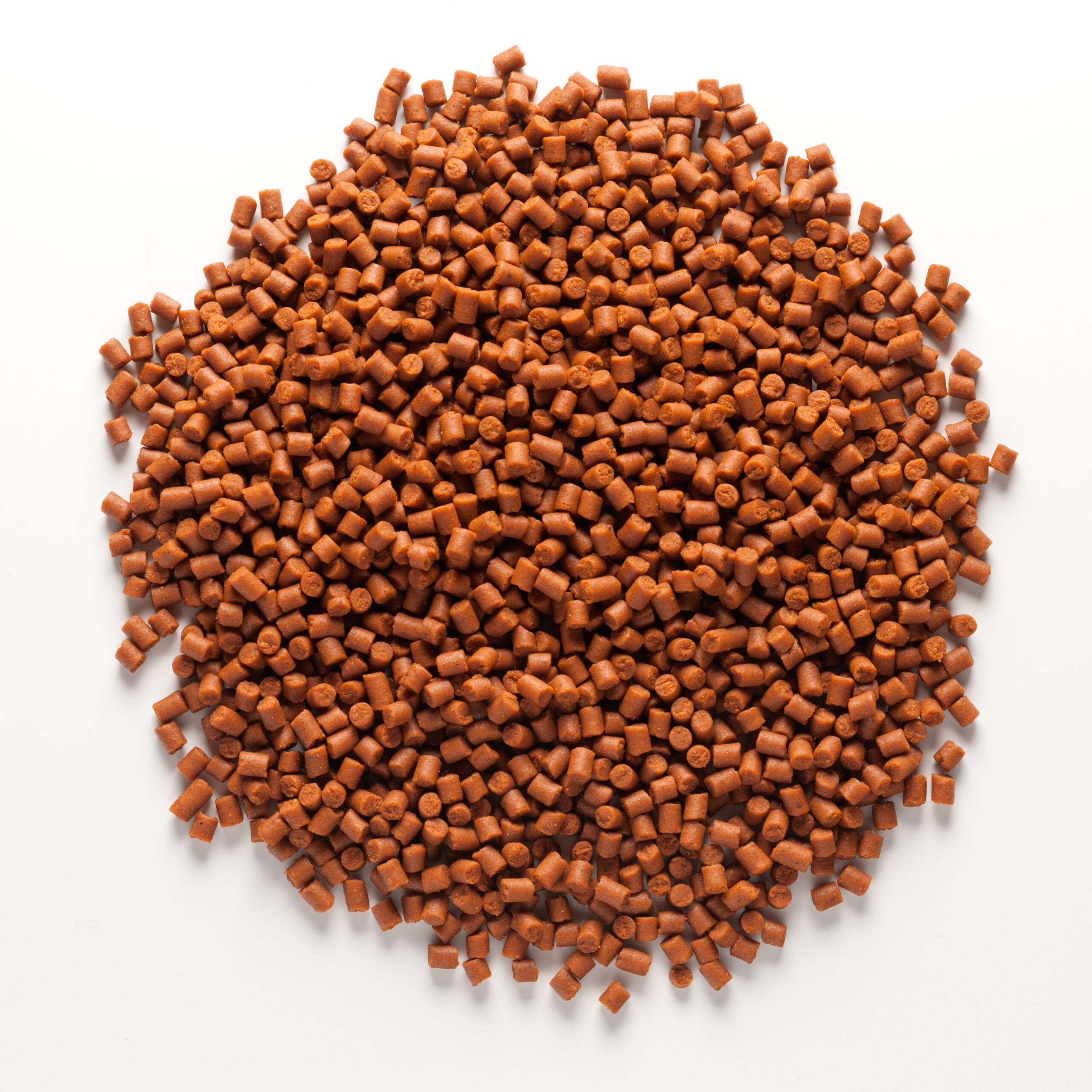 Mivardi Rapid pelety Extreme - Spiced protein (1kg | 4mm) – Obrázok 3