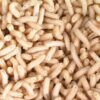 Mivardi Larva bílá ( krabička 1dcl )