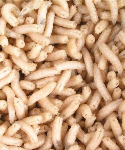 Mivardi Larva bílá l (1L= 600gr.)