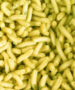 Mivardi Larva fluo l (1L=600gr.)