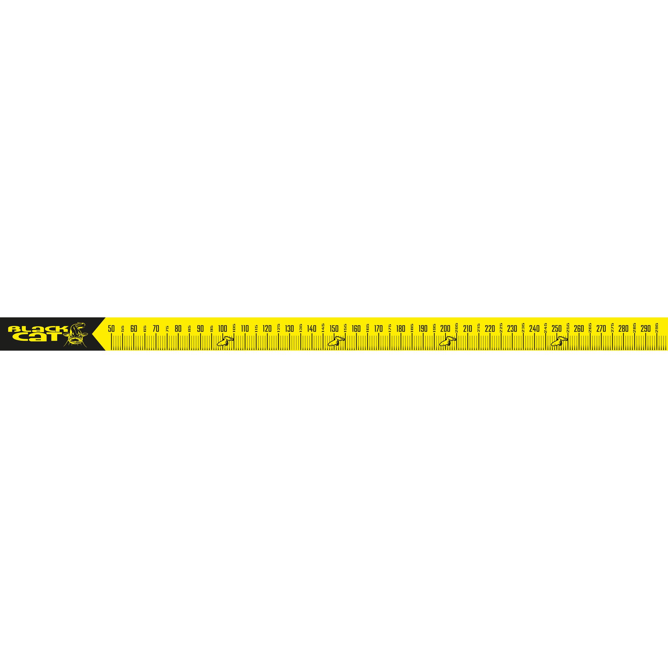 Black Cat Cat Measure