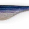 Black Cat Big Hit Shad 18cm Special Prey