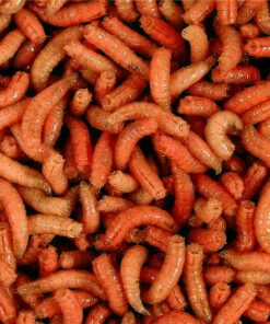 Mivardi larva oranžová l (1L=600gr.)